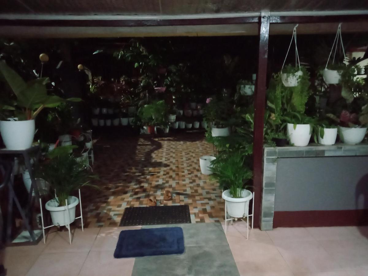 Dalinda'S Homestay Puerto Princesa Exterior foto